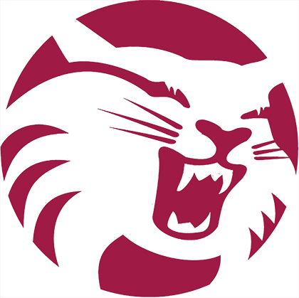 Chico State logo