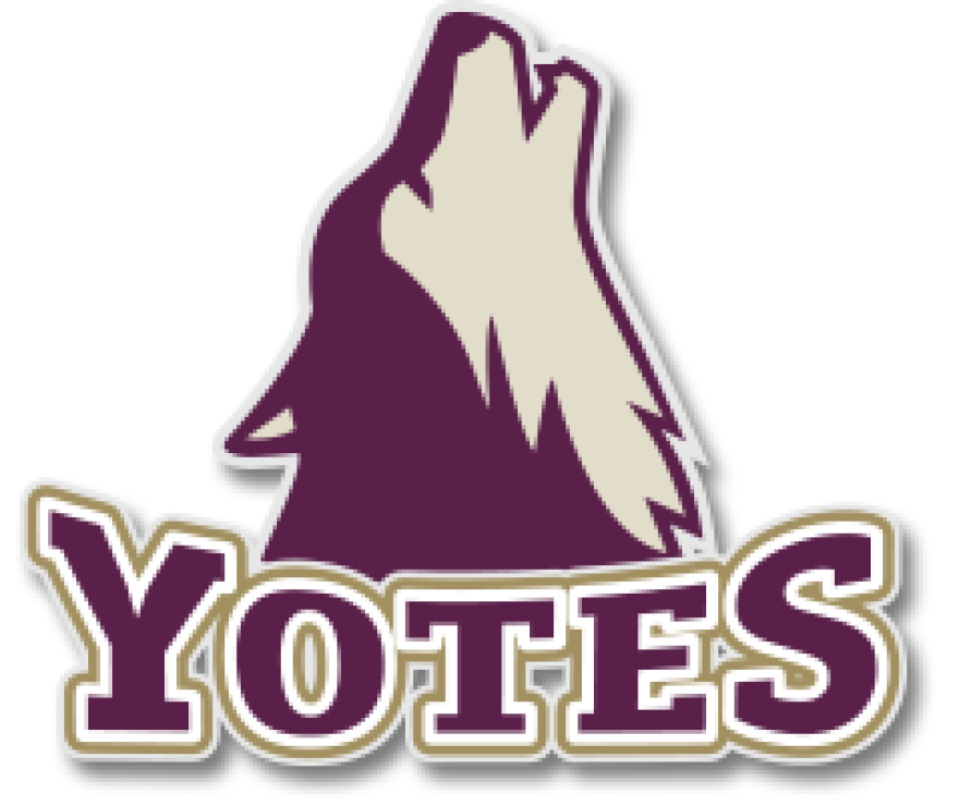 College of Idaho logo