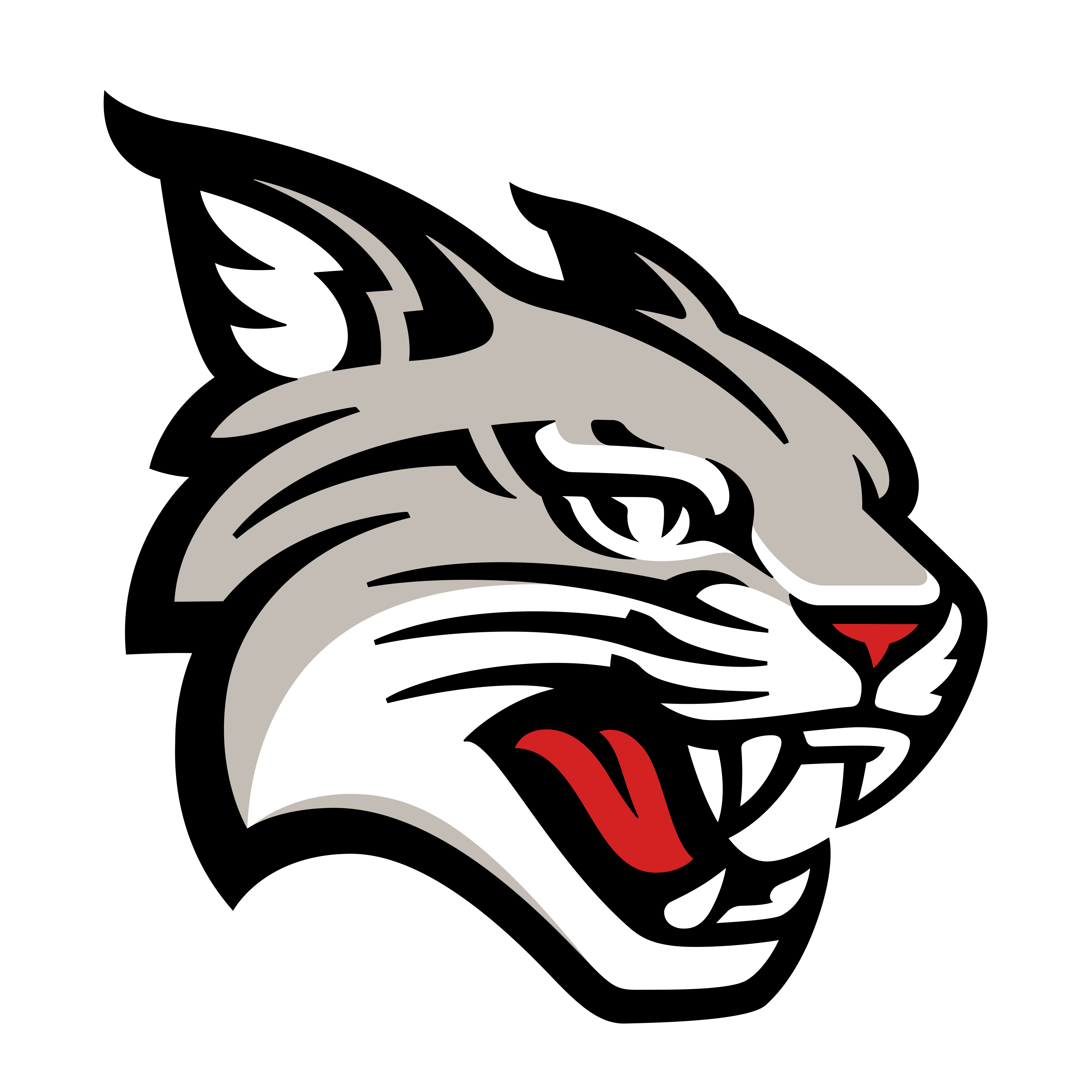 Davidson logo
